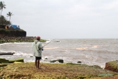 IIP Online Student Photography
